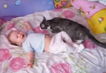 Incroyable réaction d'un chat lorsqu'un bébé pleure