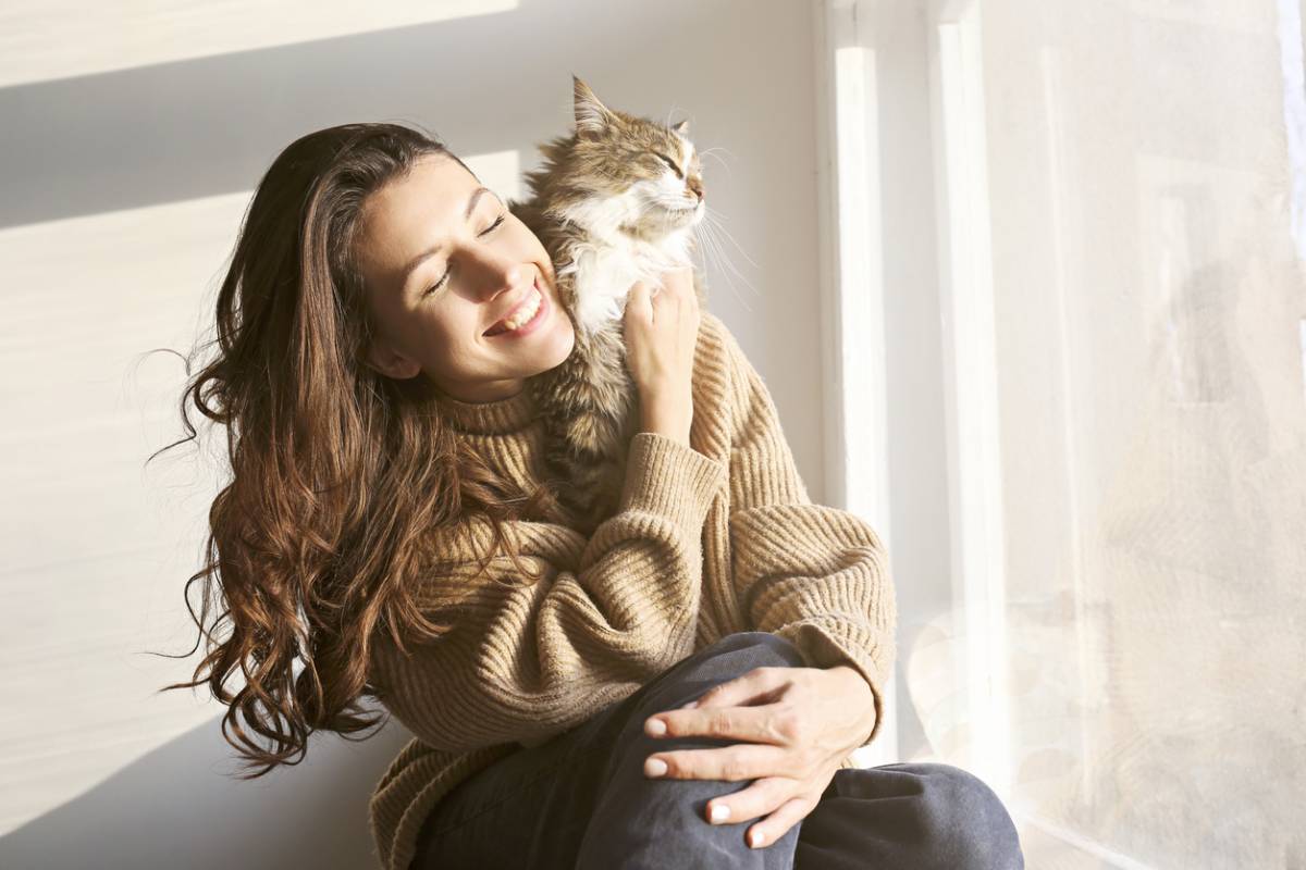 races de chats les plus appréciées des Français