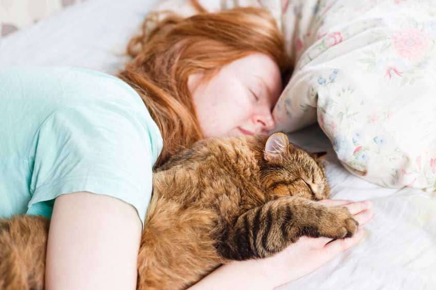 raisons de ne pas dormir avec un chat