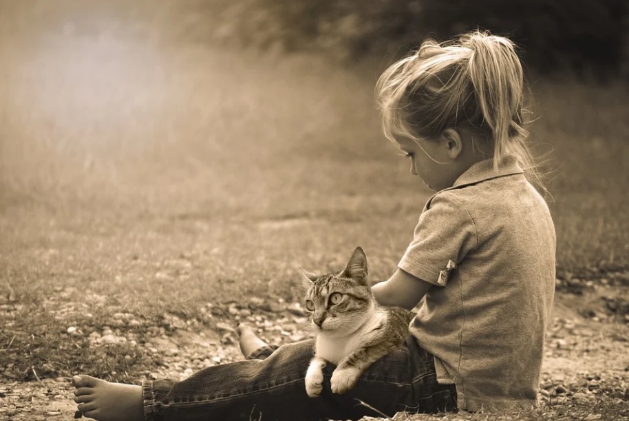 races de chat entende mieux avec enfants