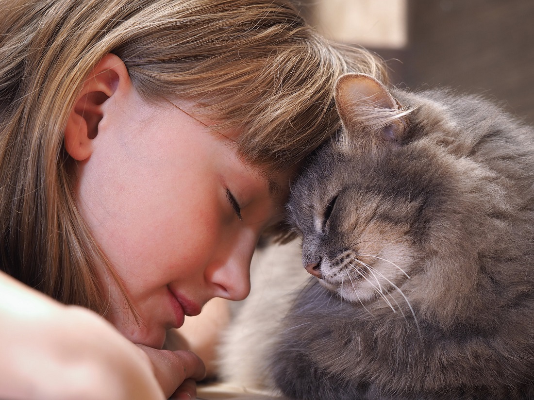 façons pour votre chat de dire qu'il vous aime