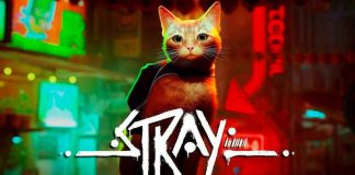 chat du jeu vidéo Stray