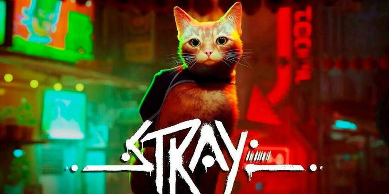 chat du jeu vidéo Stray