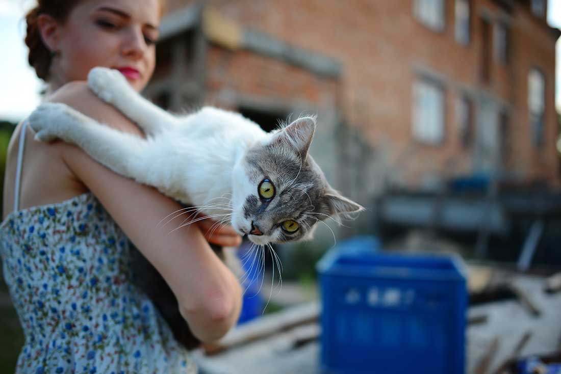 choses que votre chat déteste chez vous