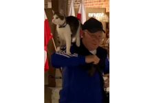 un homme va voter avec son chat sur ses épaules