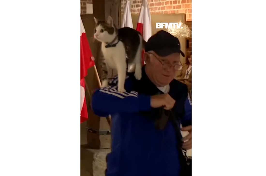 un homme va voter avec son chat sur ses épaules