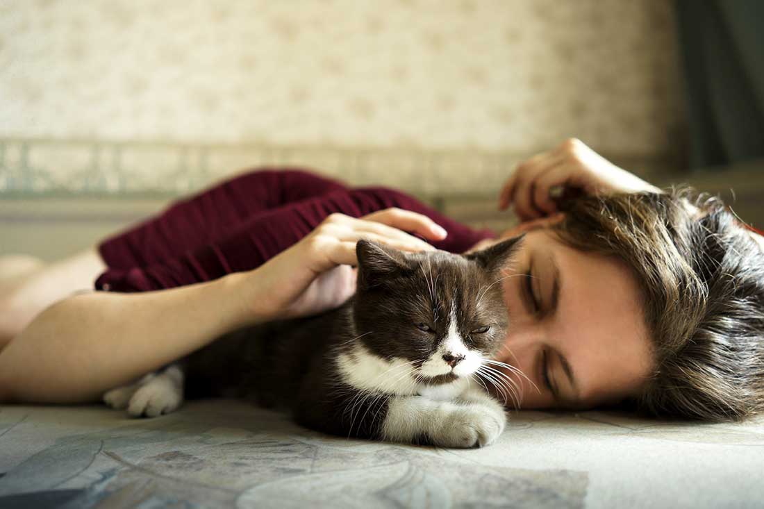 chat aime dormir près de vous