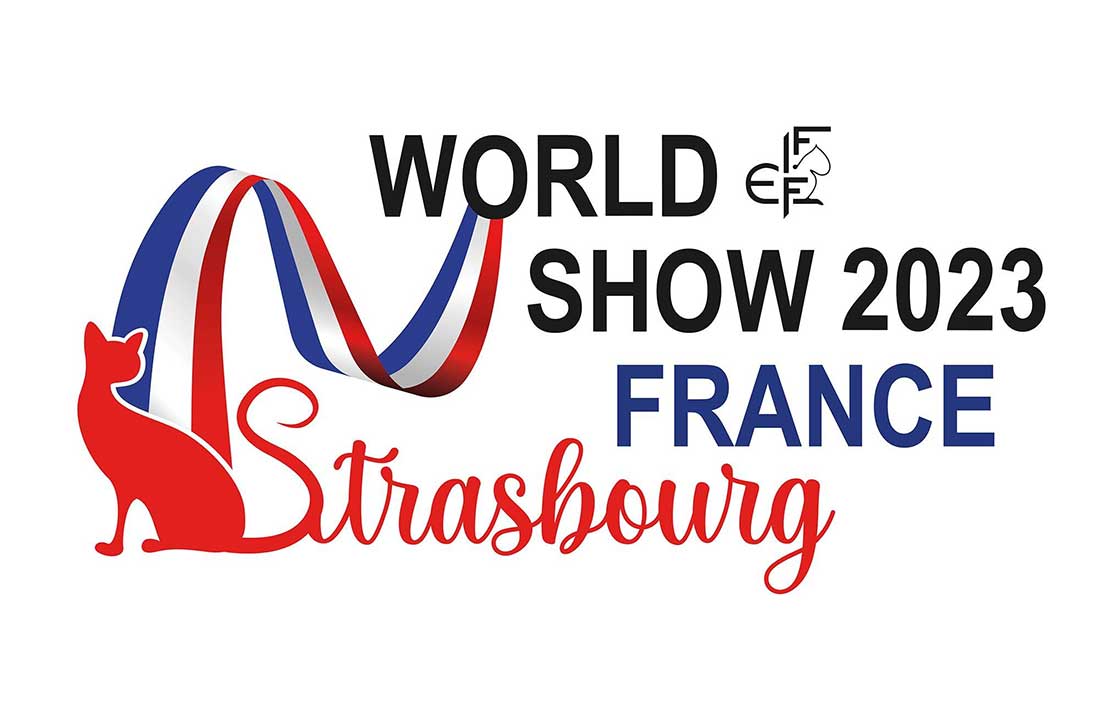 pus-beau-chat-du-monde-world-cat-show