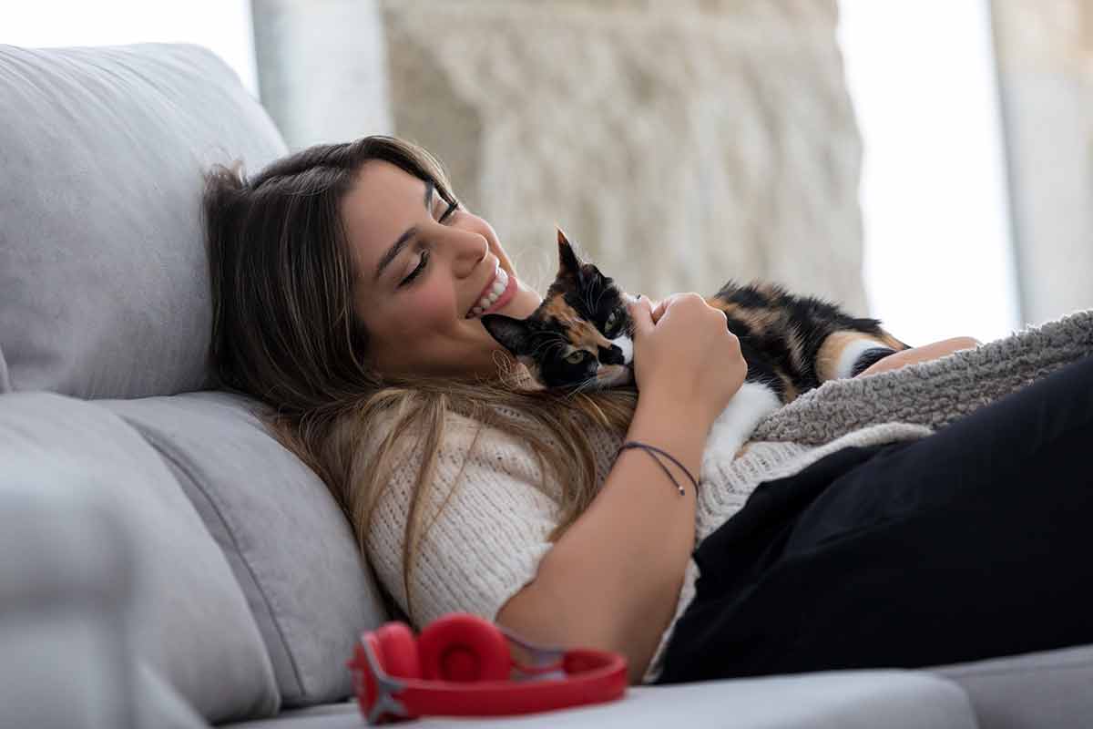chat-petrit-ventre