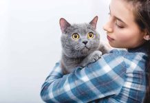 choses à ne surtout pas faire quand on a un chat