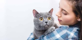 choses à ne surtout pas faire quand on a un chat
