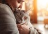 Comment fait votre chat pour réussir à vous reconnaître