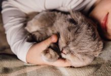 pourquoi votre chat mord pendant dormez