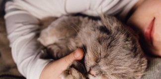 pourquoi votre chat mord pendant dormez