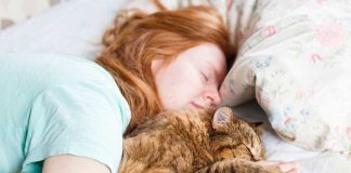 signes chat jaloux