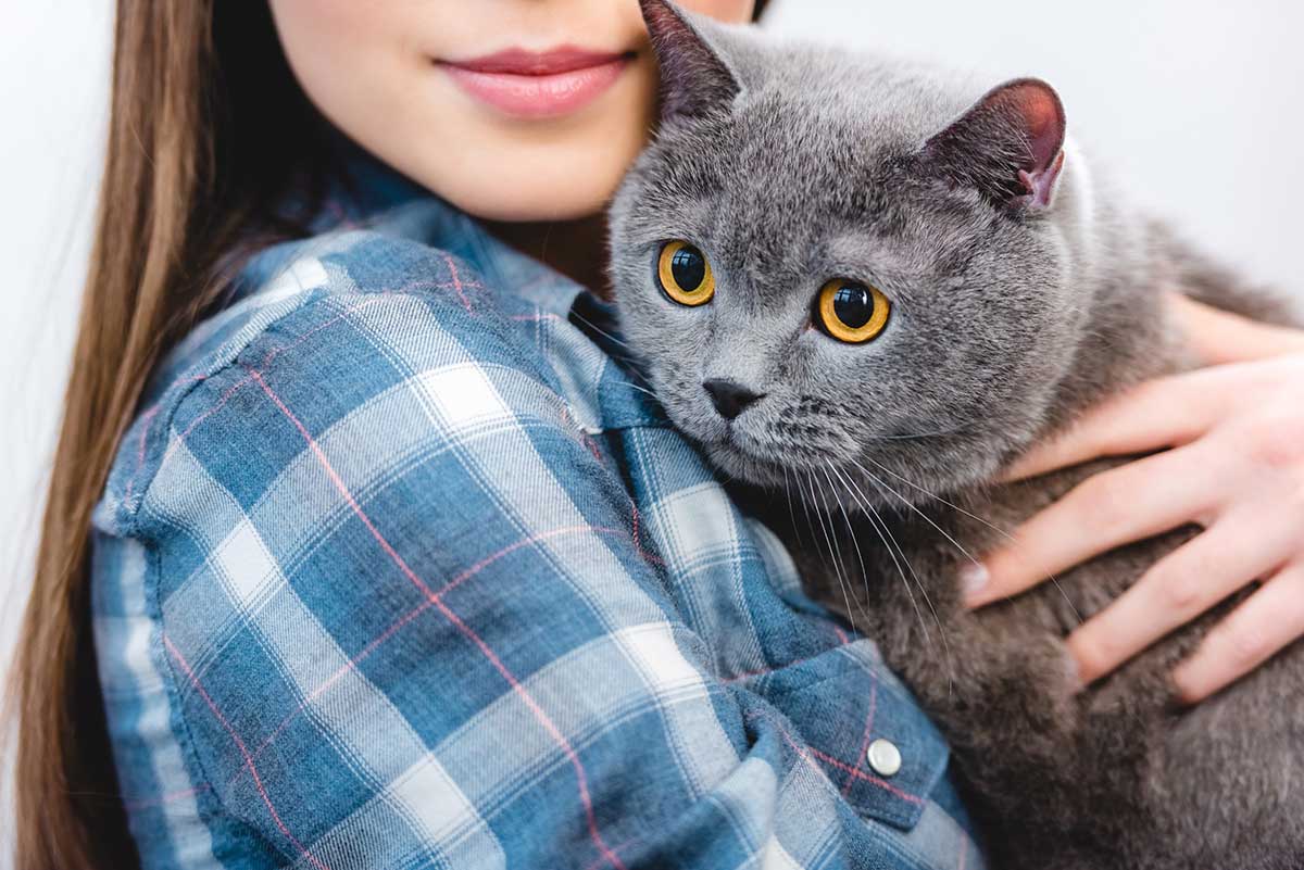 Combien de temps passer avec son chat chaque jour