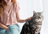 effets positifs que votre chat a sur votre santé