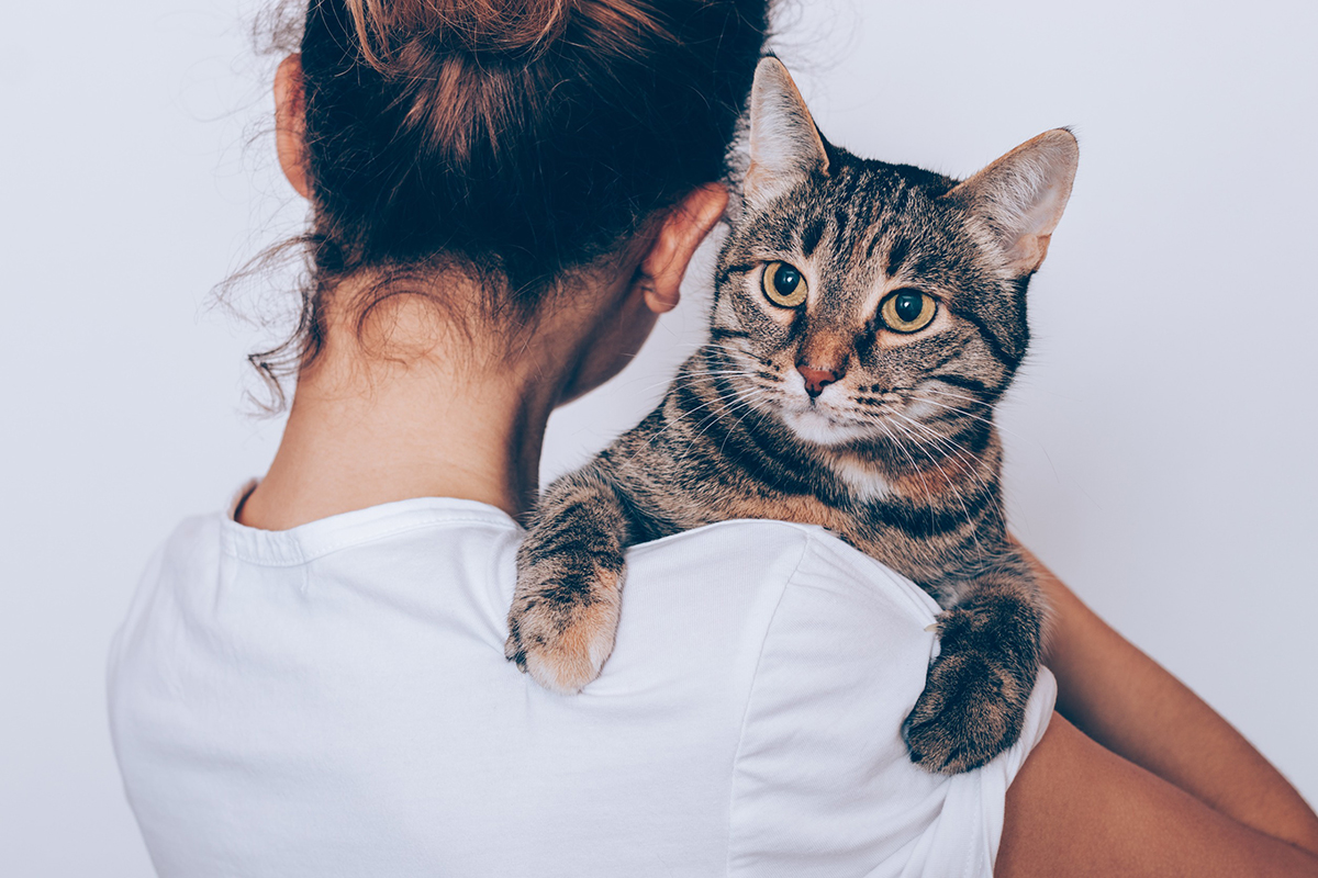 meilleures façons de donner de l’amour à votre chat