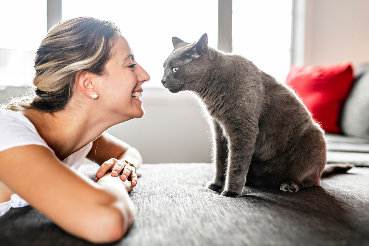 parler-a-son-chat-comme-bebe