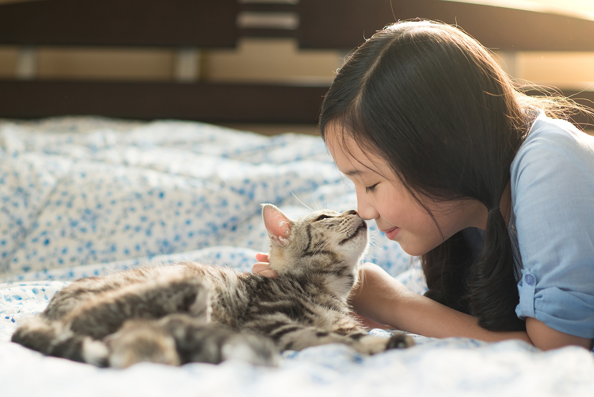 les chats aiment vraiment les enfants