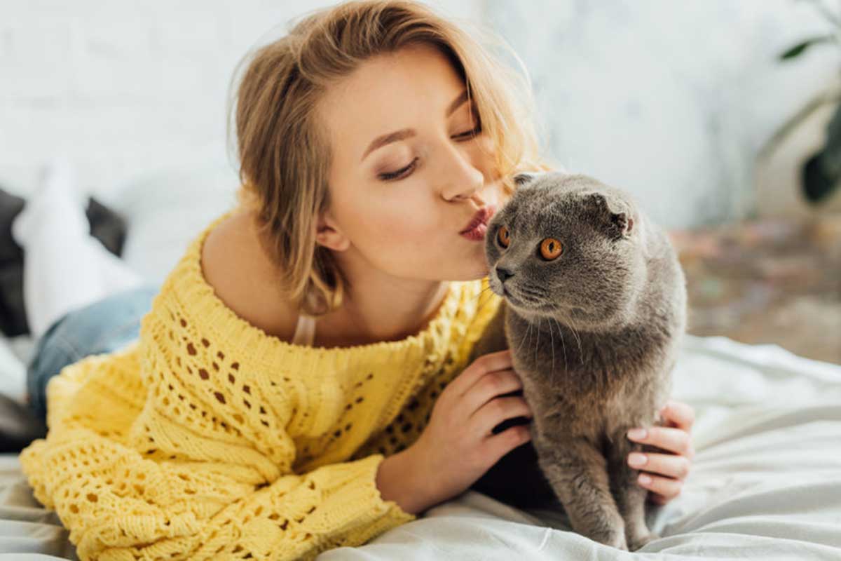 faire-un-bisous-chat