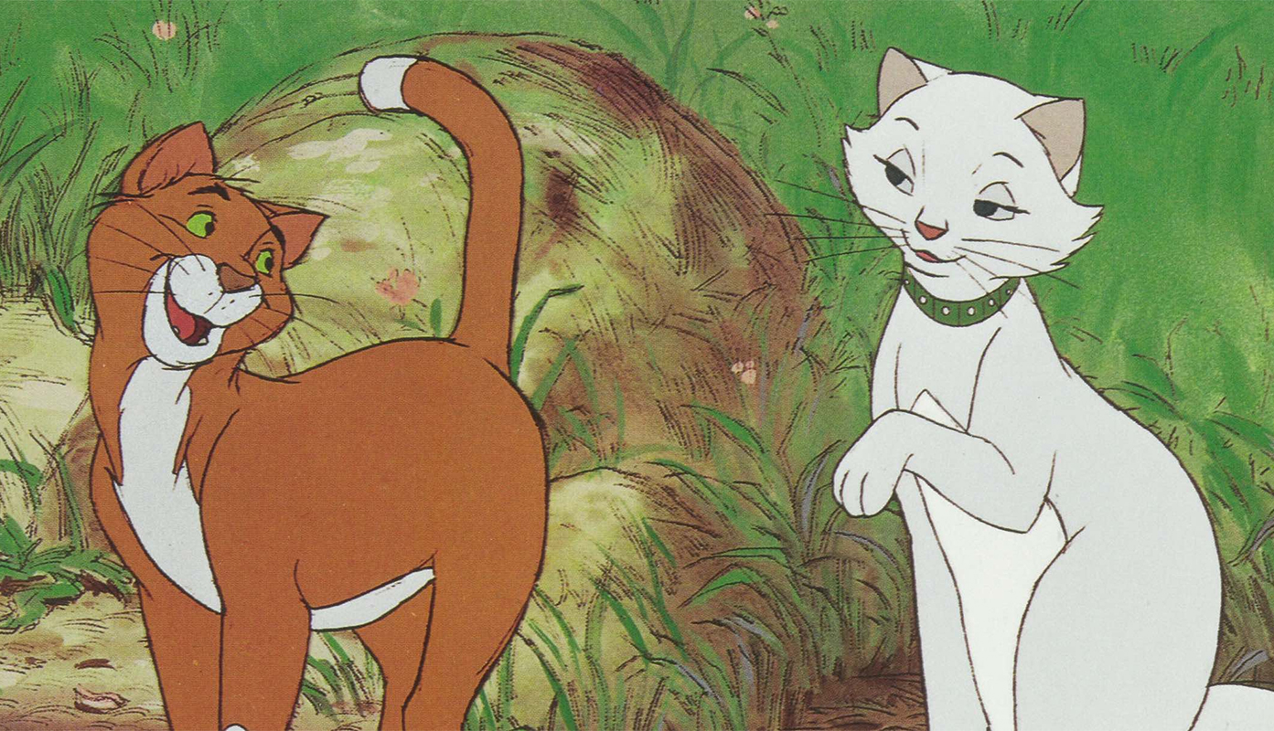 chats de dessins animés