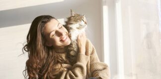 races de chats les plus appréciées des Français
