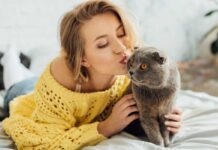 chat aime les bisous