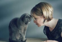 chat vous pousse avec sa tête