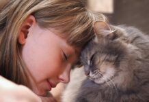 façons pour votre chat de dire qu'il vous aime
