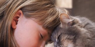 façons pour votre chat de dire qu'il vous aime