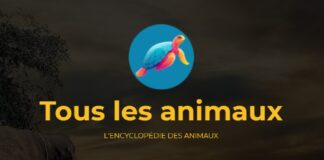 Animaux-animal.com