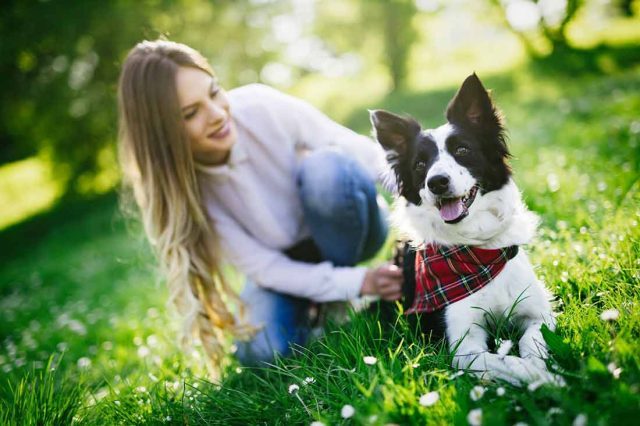 ce-que-les-chiens-aiment-le-plus-chez-leur-maitre