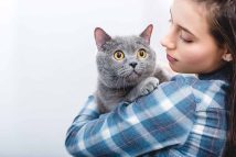 choses-a-ne-pas-faire-avec-chat