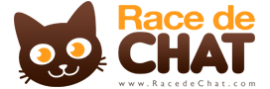 racedechat_com_272x90